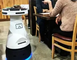 ربات